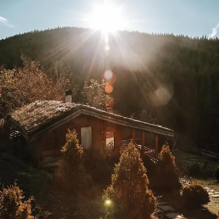 Villa панорама хаус и еко къщи дървена и землянка Lesten