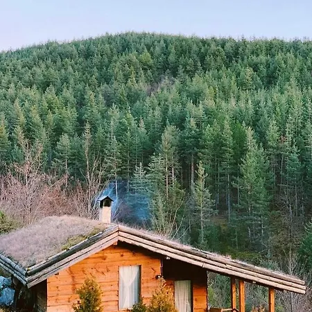 Villa панорама хаус и еко къщи дървена и землянка