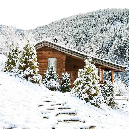 Вилла панорама хаус и еко къщи дървена и землянка *