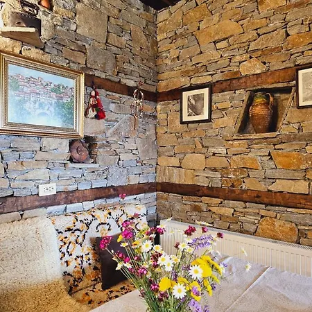 Вилла панорама хаус и еко къщи дървена и землянка *