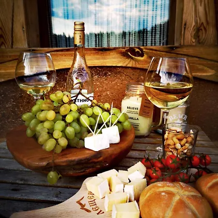 панорама хаус и еко къщи дървена и землянка *