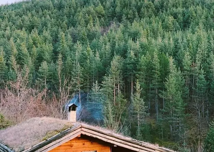 Луксозна вила панорама хаус и еко къщи дървена и землянка