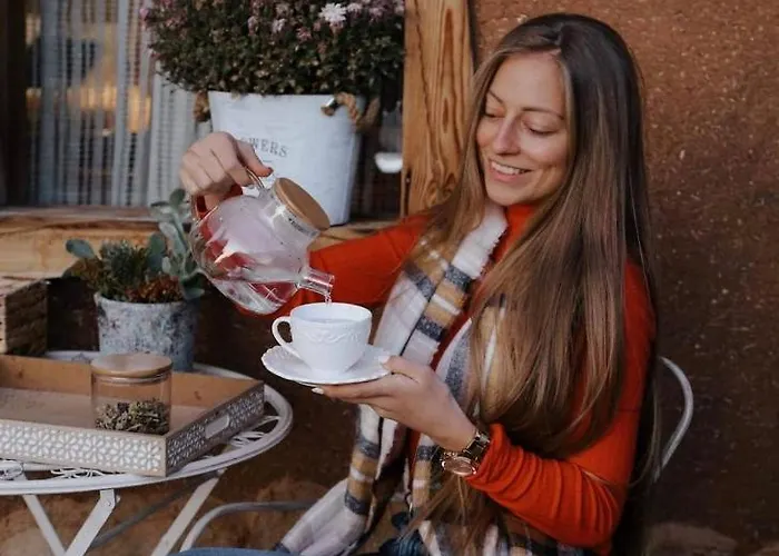 панорама хаус и еко къщи дървена и землянка *