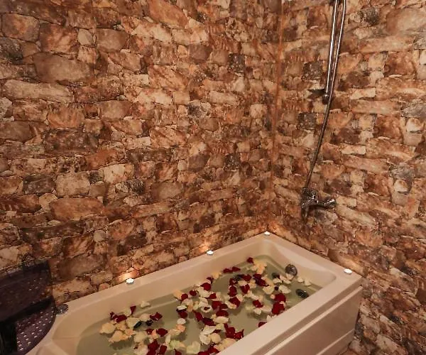 панорама хаус и еко къщи дървена и землянка *